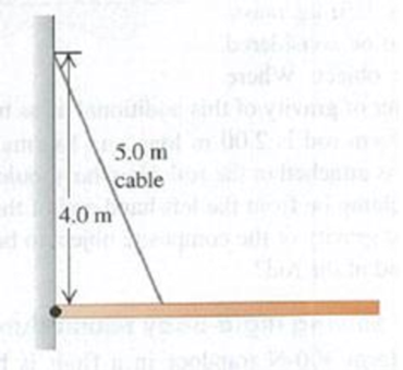 Chapter 11, Problem 11.17E, A 9.00-m-long uniform beam is hinged to a vertical wall and held horizontally by a 5.00-m-long cable 