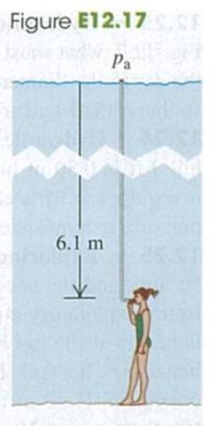 Chapter 12, Problem 12.17E, BIO There is a maximum depth at which a diver can breathe through a snorkel tube (Fig. E12.17) 
