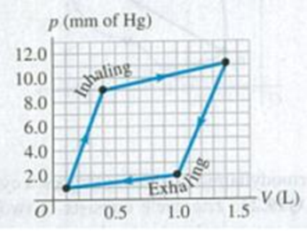 Chapter 19, Problem 19.4E, BIO Work Done by the Lungs. The graph in Fig. E19.4 shows a pV-diagram of the air in a human lung 