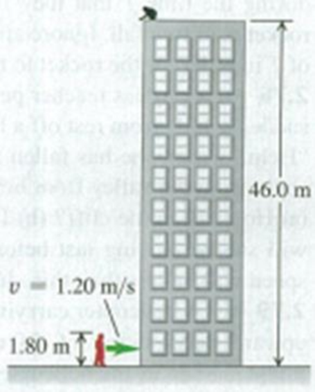 Chapter 2, Problem 2.70P, Egg Drop. You are on the roof of the physics building, 46.0 m above the ground (Fig. P2.70). Your 