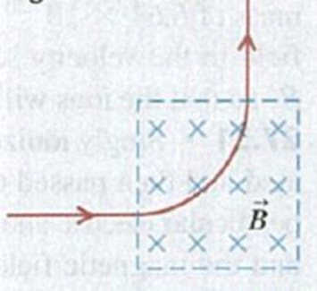 Chapter 27, Problem 27.24E, A beam of protons traveling at 1.20 km/s enters a uniform magnetic field, traveling perpendicular to 