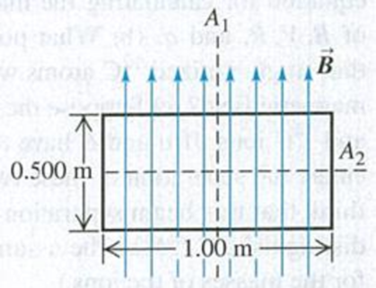 Chapter 27, Problem 27.43E, CP A uniform rectangular coil of total mass 212 g and dimensions 0.500 m  1.00 m is oriented with 