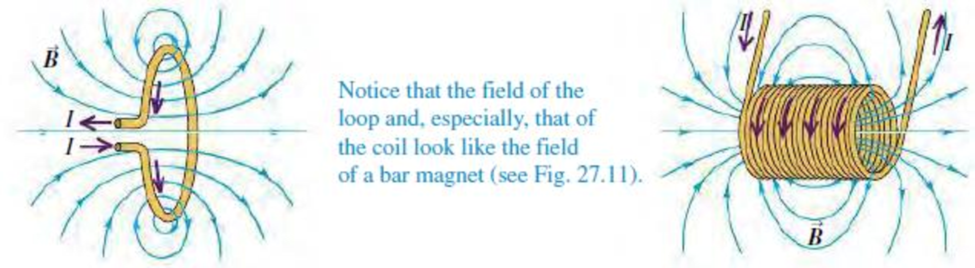 Chapter 27.7, Problem 27.7TYU, Figure 27.13c depicts the magnetic field lines due to a circular current-carrying loop. (a) What is 
