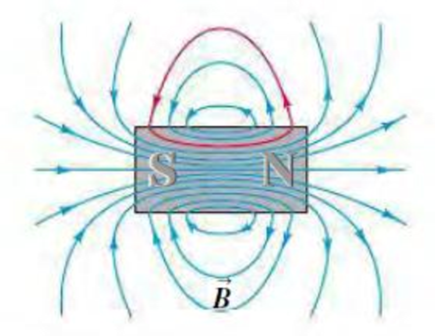 Chapter 28.6, Problem 28.6TYU, The accompanying figure shows magnetic field lines through the center of a permanent magnet. The 