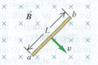 Chapter 29, Problem 29.25E, In Fig. E29.25 a conducting rod of length L = 30.0 cm moves in a magnetic field B of magnitude 0.450 