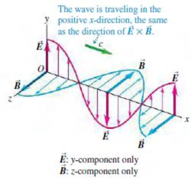 Chapter 32.4, Problem 32.4TYU, Figure 32.13 shows one wavelength of a sinusoidal electromagnetic wave at time t = 0. For which of 