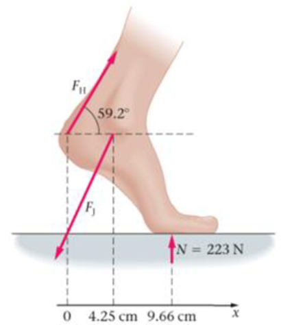 Chapter 11, Problem 33PCE, BIO Forces in the Foot In Figure 11-47 we see the forces acting on a sprinters foot just before she 