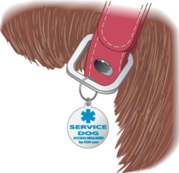 Chapter 13, Problem 81GP, A service dog tag (Figure 13-40) is a circular disk of radius 1.9 cm and mass 0.013 kg that can 