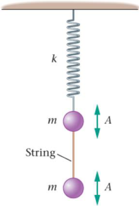 Chapter 13, Problem 88GP, A mass m is connected to the bottom of a vertical spring whose force constant is k. Attached to the 