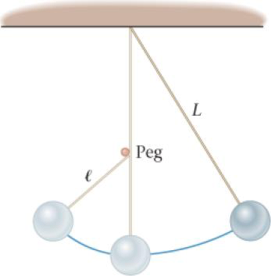 Chapter 13, Problem 89GP, Predict/Calculate Consider the pendulum shown in Figure 13-43. Note that the pendulums string is 