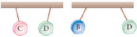 Chapter 19, Problem 79GP, CE Four lightweight, plastic spheres, labeled A, B, C, and D, are suspended from threads in various , example  2