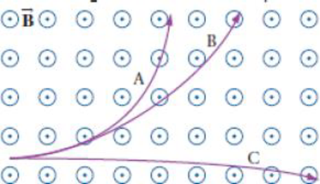 Chapter 22, Problem 3PCE, Suppose particles A, B, and C in Figure 22-41 have identical masses and charges of the same 