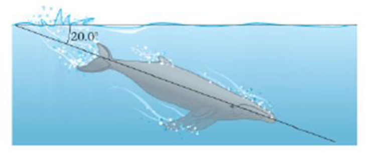 Chapter 3, Problem 19PCE, A whale comes to the surface to breathe and then dives at an angle of 20.0 below the horizontal 