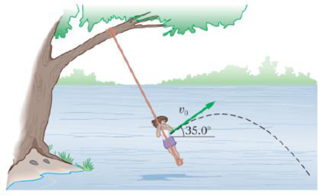 Chapter 4, Problem 40PCE, On a hot summer day a young girl swings on a rope above the local swimming hole (Figure 4-27). When 