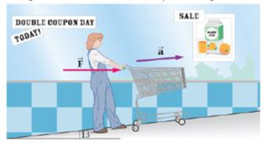 Chapter 5, Problem 28PCE, A shopper pushes a 7 5-kg shopping cart up a 13 incline, as shown in Figure 5-32. Find the magnitude 