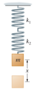 Chapter 6, Problem 19PCE, Two springs, with force constants k1= 150N/m and k2 = 250N/m, are connected in series, as shown in 