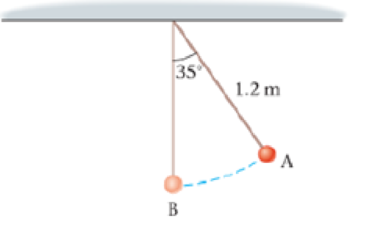 Chapter 8, Problem 17PCE, A 0.33-kg pendulum bob is attached to a string 1.2 m long. What is the change in the gravitational 