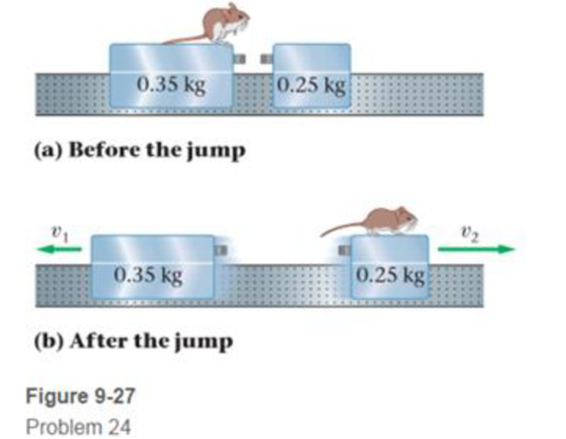 Chapter 9, Problem 24PCE, A 0.042-kg pet lab mouse sits on a 0.35-kg air-track cart, as shown in Figure 9-27. The cart is at 