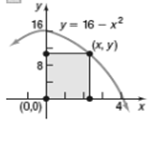 Chapter 2.6, Problem 7AYU, A rectangle has one corner in quadrant I on the graph y=16x2, another at the origin, a third on the 