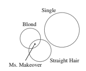 Chapter 2.1B, Problem 11A, Use the Euler diagram to describe Ms. Makeover as completely as possible. 