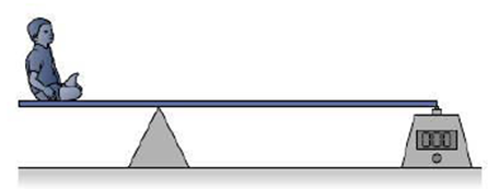 Chapter 12, Problem 17E, Where should the child in Fig. 12.14 sit if the scale is to read (a) 100 N and (b) 300 N? FIGURE 