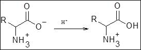 Chemistry: An Atoms-Focused Approach, Chapter 20, Problem 20.2VP , additional homework tip 2