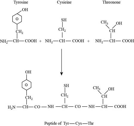 Chemistry, Chapter 20, Problem 20.24QP , additional homework tip 1