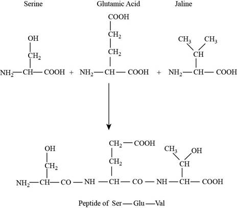 Chemistry, Chapter 20, Problem 20.24QP , additional homework tip 2