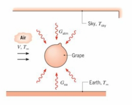 Chapter 12, Problem 12.123P, Growers use giant fans to prevent grapes from freezing when the effective sky temperature is low. 