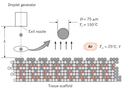 Chapter 7, Problem 7.84P, Tissue engineering involves the development of biological substitutes that restore or improve tissue 