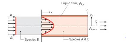 Chapter 8, Problem 8.129P, A mass transfer Operation is preceded by laminar flow of a gaseous species B through a circular tube 