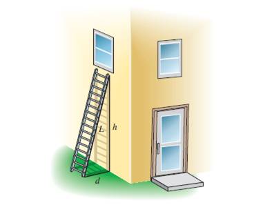 Chapter 2.5, Problem 57E, Ladder height The recommended distance d that a ladder should be placed away from a vertical wall is 