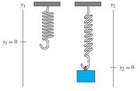 Chapter 2.1, Problem 24E, Consider a vertical mass-spring system as shown in the figure below. Before the mass is placed on 