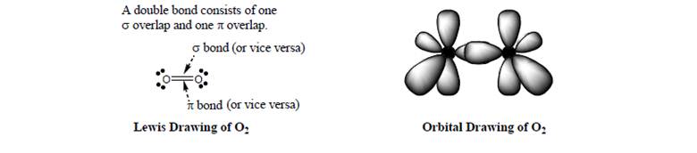 Chapter 3, Problem 4E, Consider the incomplete orbital representation of O2 , below right. a. Identify which lobes are 