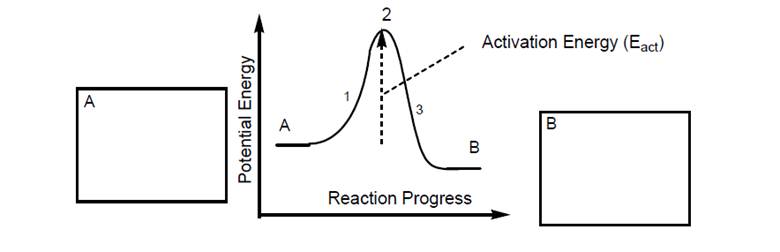 Chapter 6, Problem 22E, Double bonds do not rotate freely under normal conditions. The change from Z to E requires 