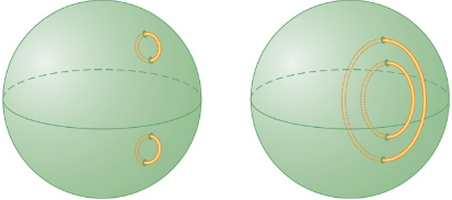 Chapter 5.1, Problem 22MS, HoIy spheres. Consider the two spheres shown. Each has four holes on its surface. Ropes are looped 