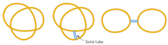 Chapter 5.1, Problem 36MS, From knots to glasses (ExH). Take the thickened knot and then add a solid tube, as illustrated 