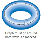 Chapter 6.2, Problem 24MS, A torus graph (ExH). The Euler Characteristic V-E+F can be applied to other surfaces besides 