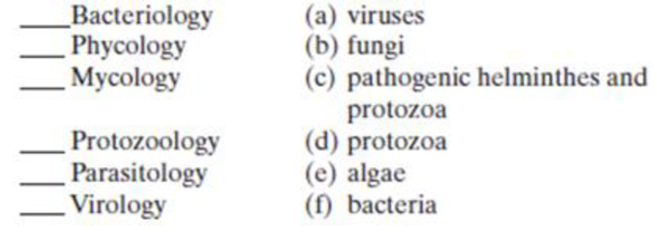 Chapter 1, Problem 15SQ, Match the following terms to the appropriate microbial group 
