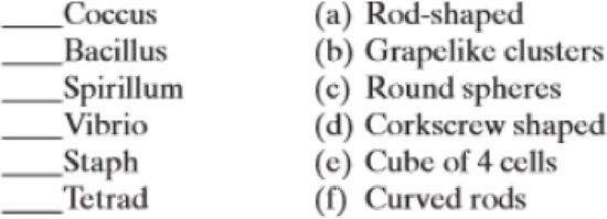 Chapter 4, Problem 3SQ, Match the following bacterial morphology designations with their description: 