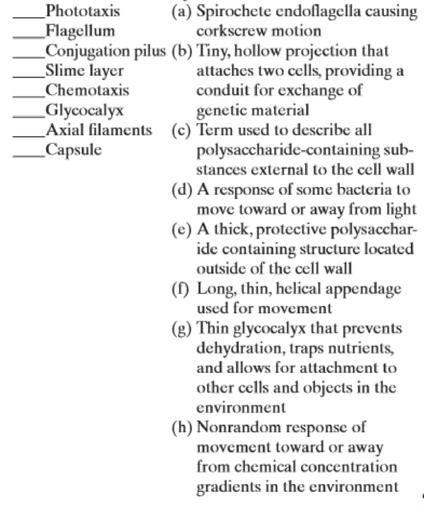 Chapter 4, Problem 8SQ, Match the following bacterial locomotion and external structure terms to their descriptions: 