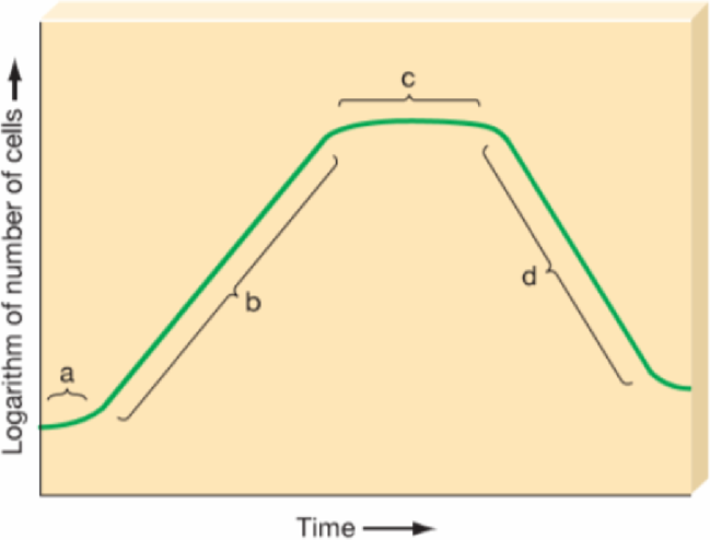 Chapter 6, Problem 22SQ, Identify the position of each of the following on the accompanying graph: _____Organisms divide at 