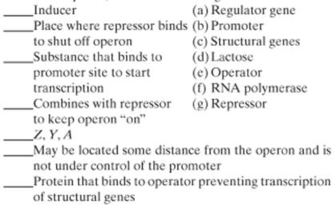 Chapter 7, Problem 10SQ, For the lac operon, match the following: 