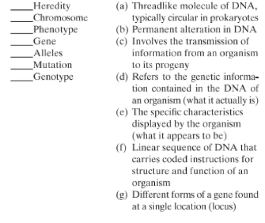 Chapter 7, Problem 1SQ, Match the following terms with their descriptions: 