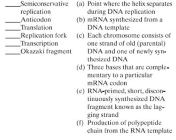 Chapter 7, Problem 4SQ, Match the following terms with their respective descriptions: 