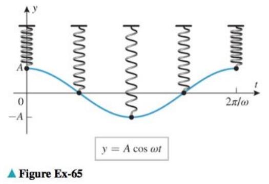 Chapter 2.6, Problem 65ES, If an object suspended from a spring is displaced vertically from its equilibrium position by a 
