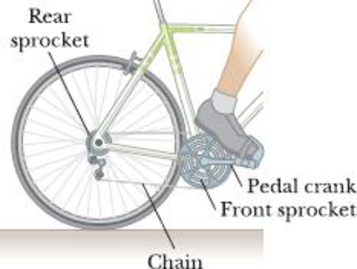 Chapter 10, Problem 16P, Figure P10.16 shows the drive train of a bicycle that has wheels 67.3 cm in diameter and pedal 