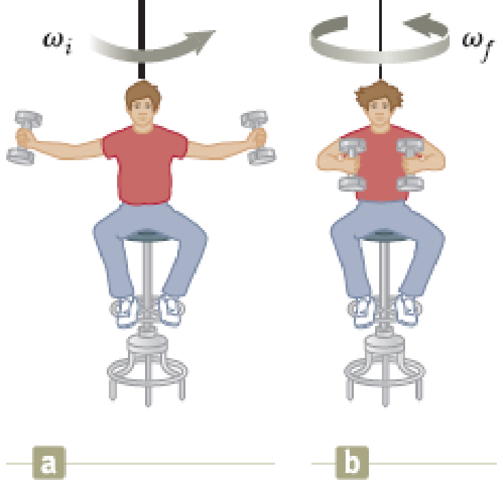 Chapter 10, Problem 56P, A student sits on a freely rotating stool holding two dumbbells, each of mass 3.00 kg (Fig. P10.56). 