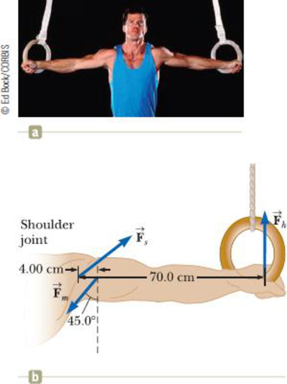 Chapter 10, Problem 85P, BIO When a gymnast performing on the rings executes the iron cross, he maintains the position at 