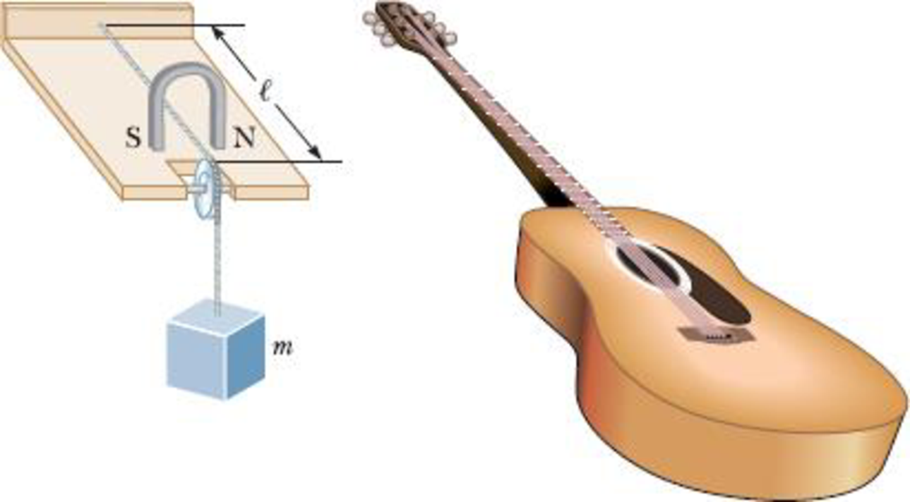 Chapter 23, Problem 19P, Review. After removing one string while restringing his acoustic guitar, a student is distracted by 